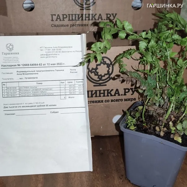 превью изображения отзыва