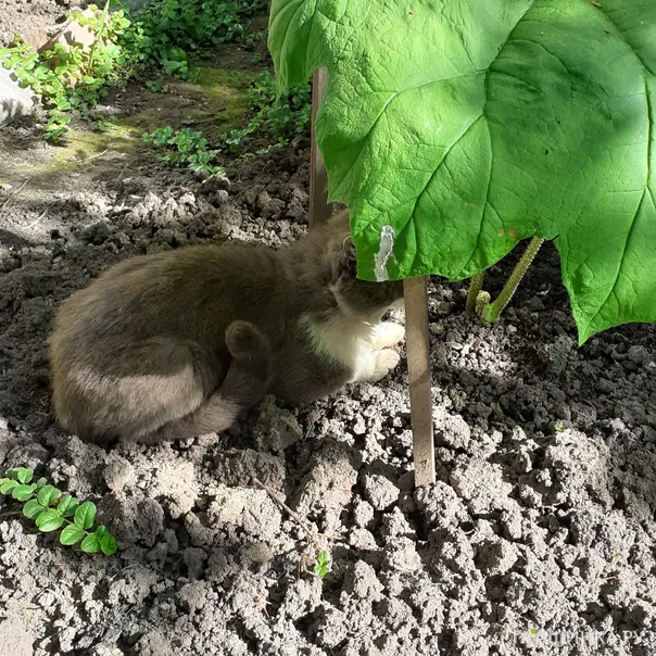 превью изображения отзыва