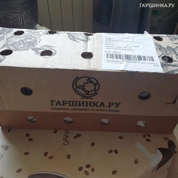 превью изображения отзыва