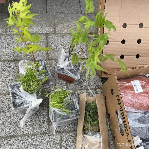 превью изображения отзыва