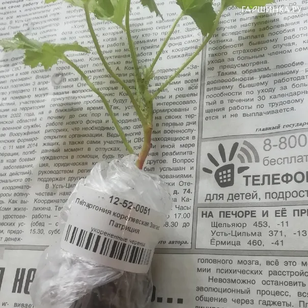 превью изображения отзыва