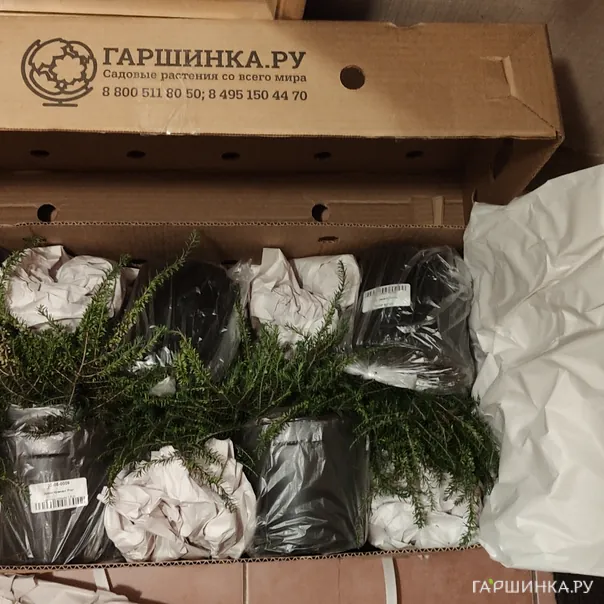 превью изображения отзыва