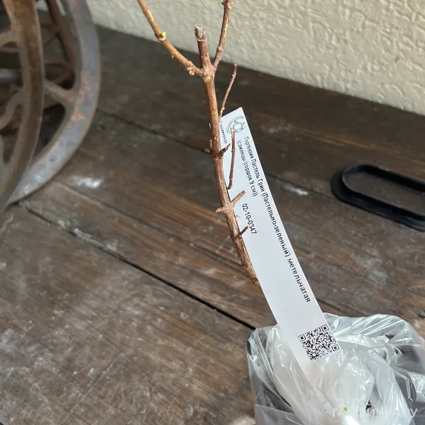 превью изображения отзыва