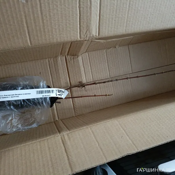 превью изображения отзыва