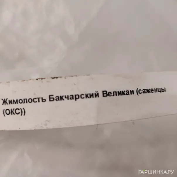 превью изображения отзыва