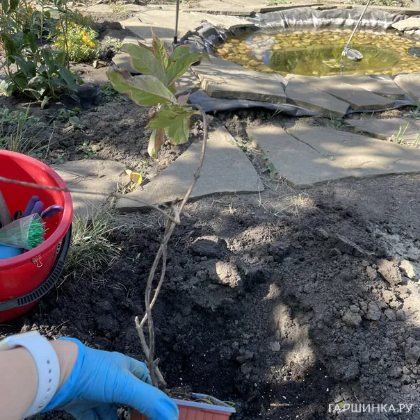 превью изображения отзыва