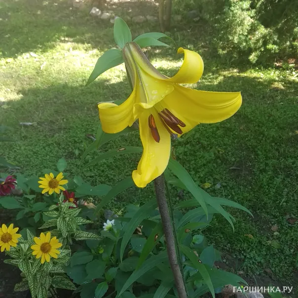 превью изображения отзыва