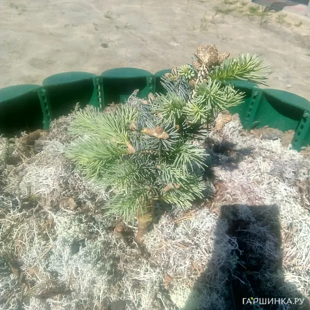 превью изображения отзыва