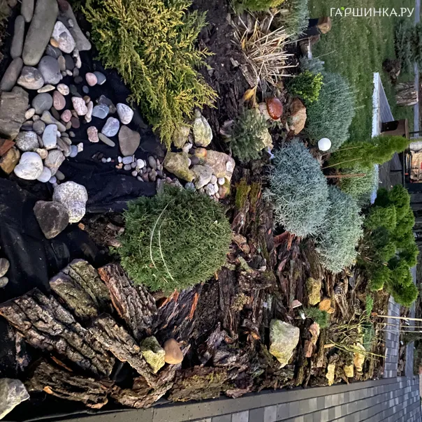 превью изображения отзыва