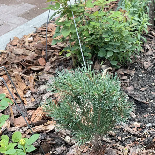 превью изображения отзыва