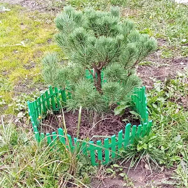 превью изображения отзыва