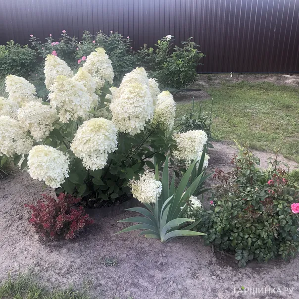 превью изображения отзыва