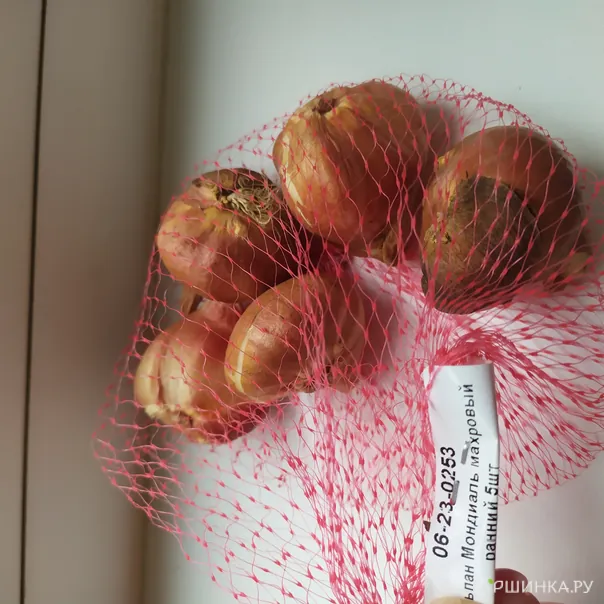 превью изображения отзыва