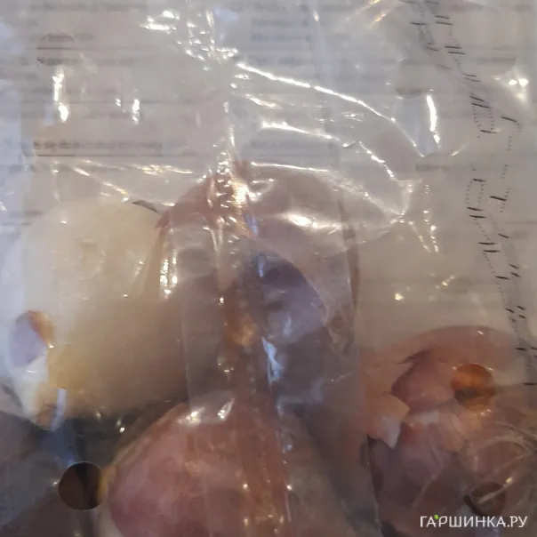 превью изображения отзыва