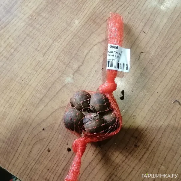 превью изображения отзыва