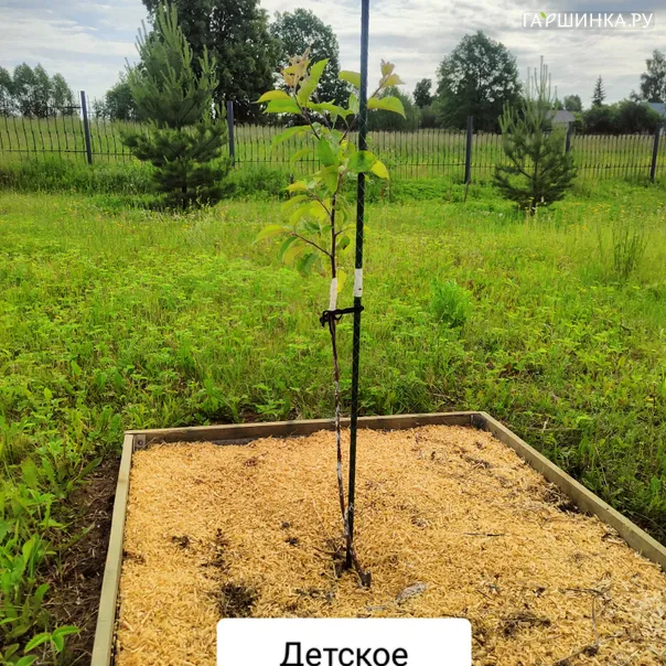 превью изображения отзыва