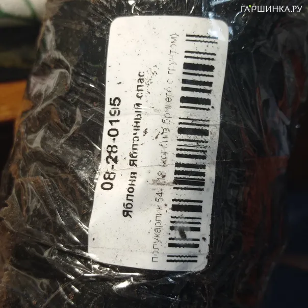 превью изображения отзыва