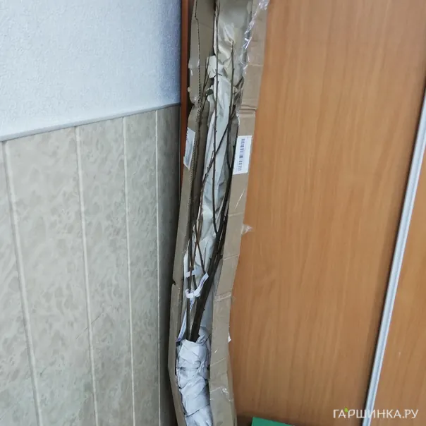 превью изображения отзыва