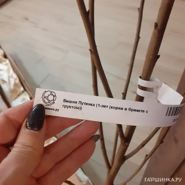 превью изображения отзыва