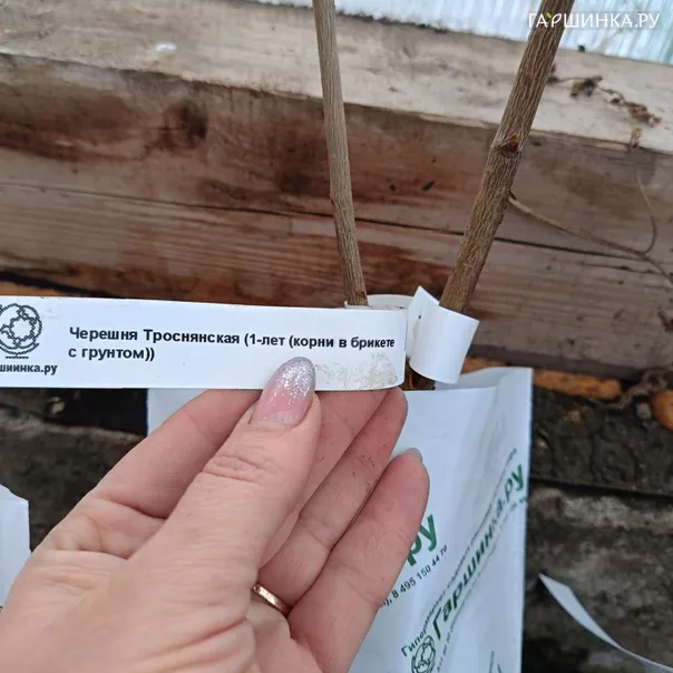 превью изображения отзыва