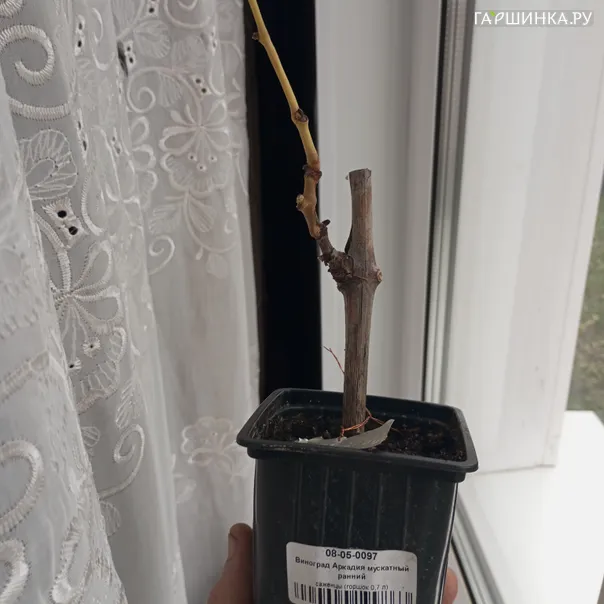 превью изображения отзыва
