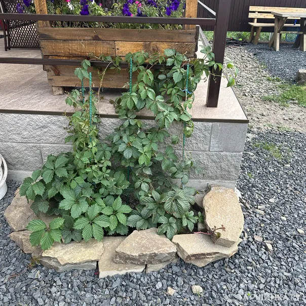 превью изображения отзыва