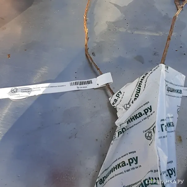 превью изображения отзыва