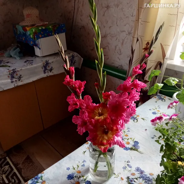 превью изображения отзыва