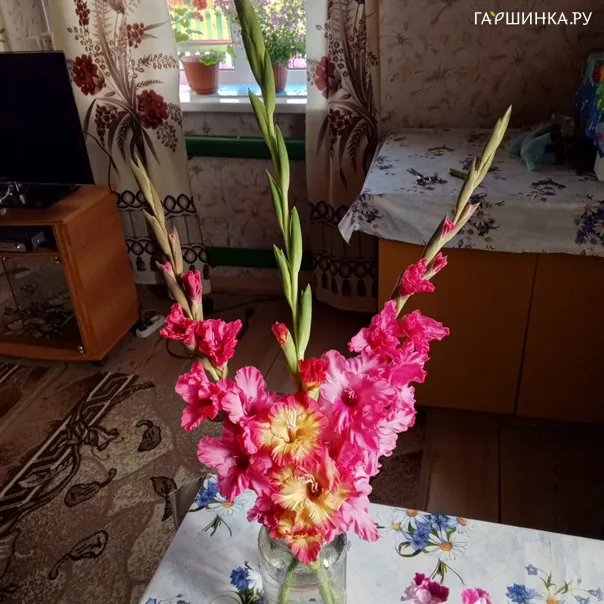 превью изображения отзыва