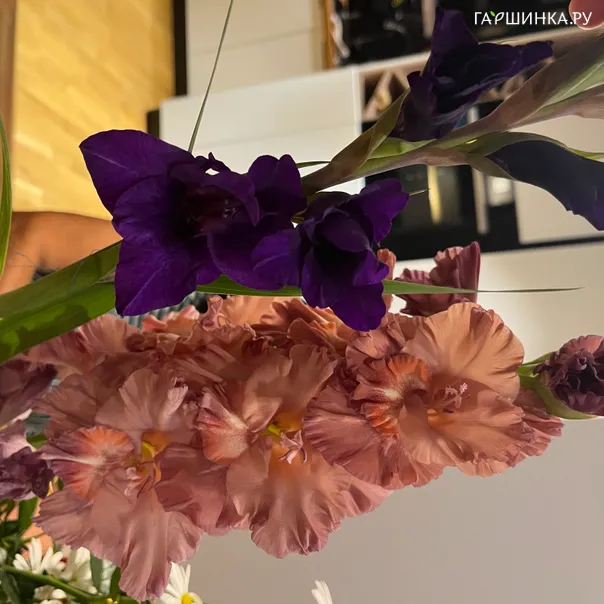 превью изображения отзыва