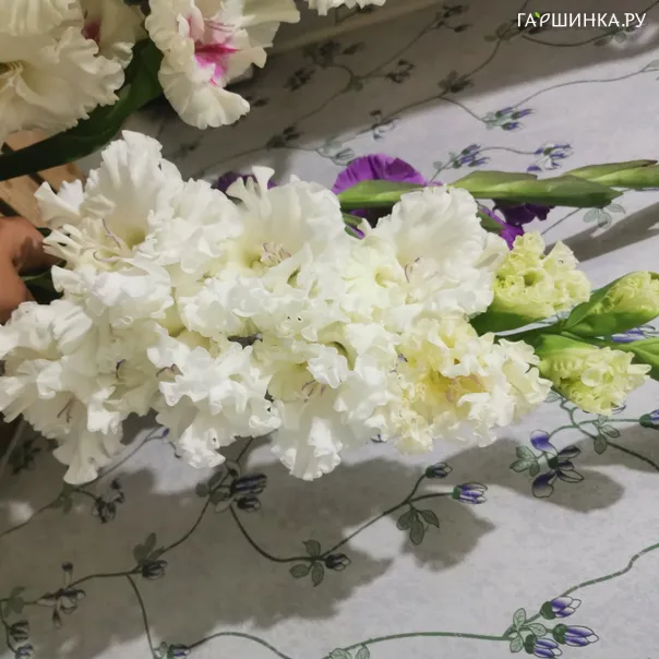 превью изображения отзыва