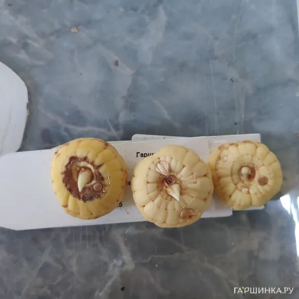 превью изображения отзыва