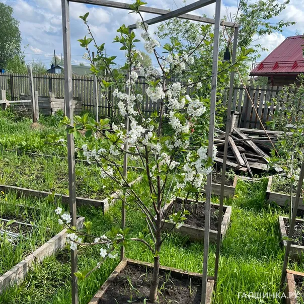 превью изображения отзыва