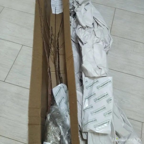 превью изображения отзыва