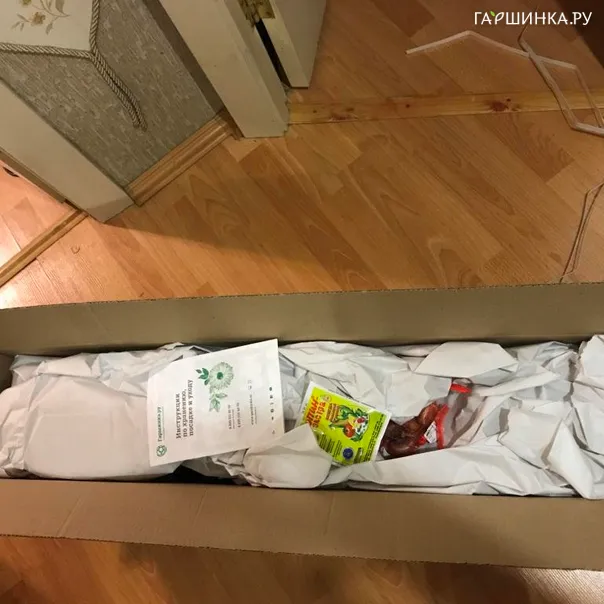 превью изображения отзыва