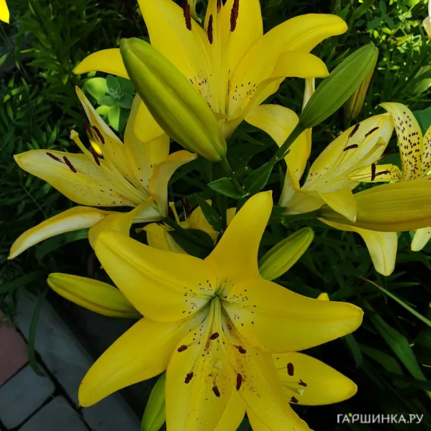 превью изображения отзыва