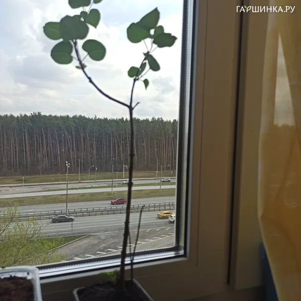 превью изображения отзыва