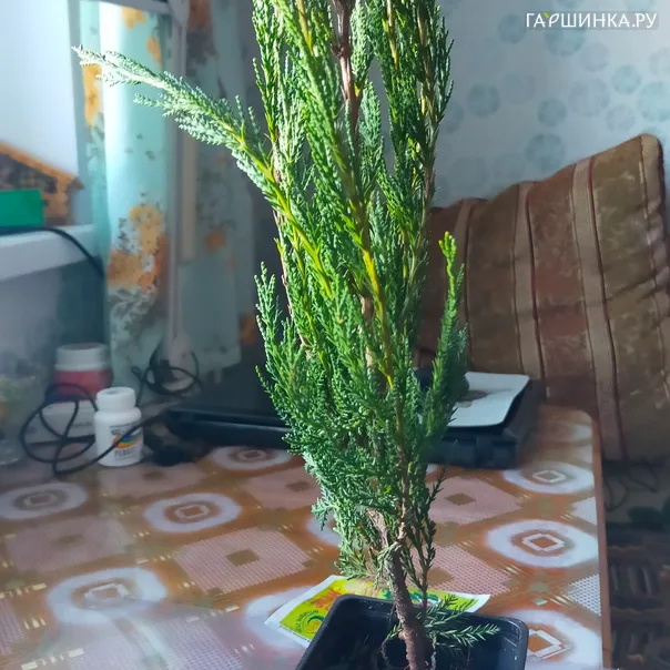 превью изображения отзыва