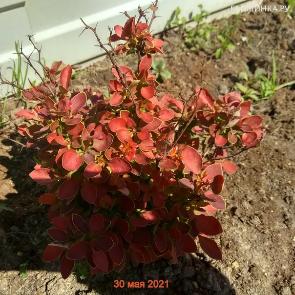 превью изображения отзыва