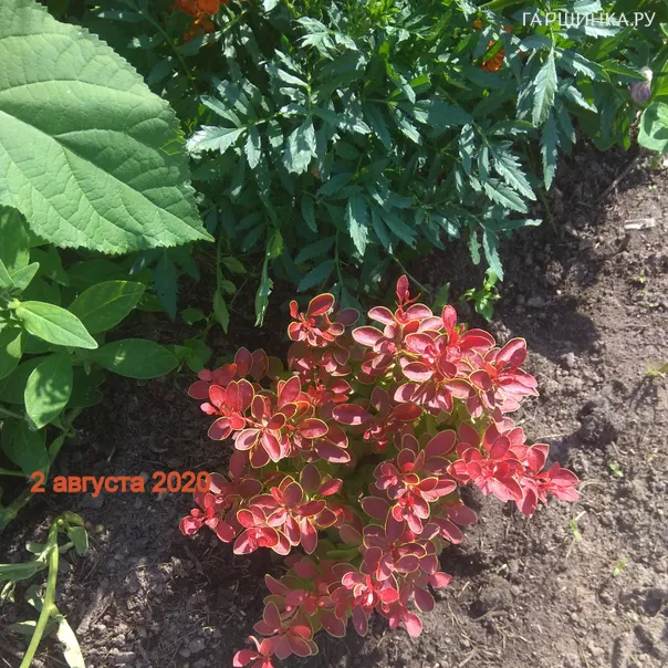 превью изображения отзыва