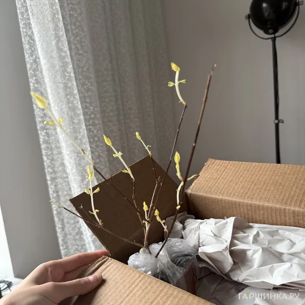 превью изображения отзыва