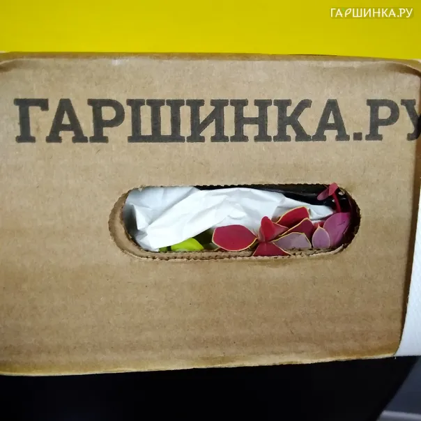 превью изображения отзыва