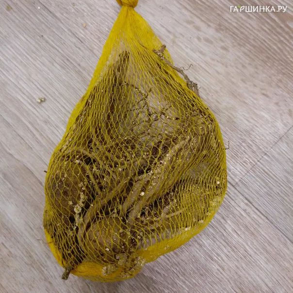 превью изображения отзыва