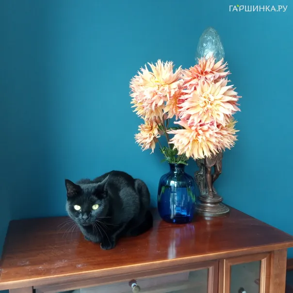 превью изображения отзыва