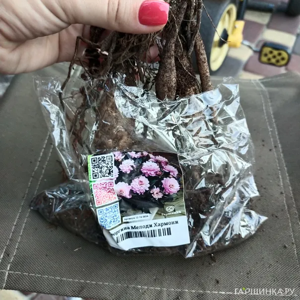 превью изображения отзыва