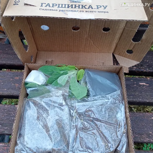 превью изображения отзыва