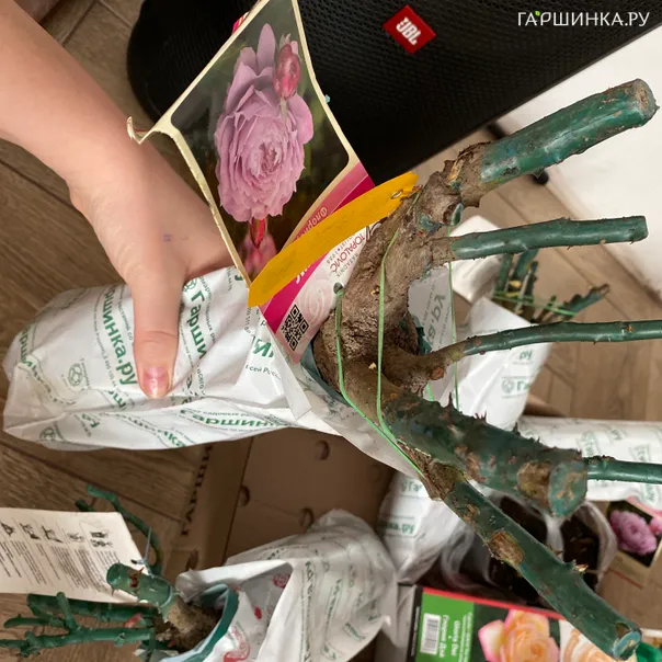 превью изображения отзыва