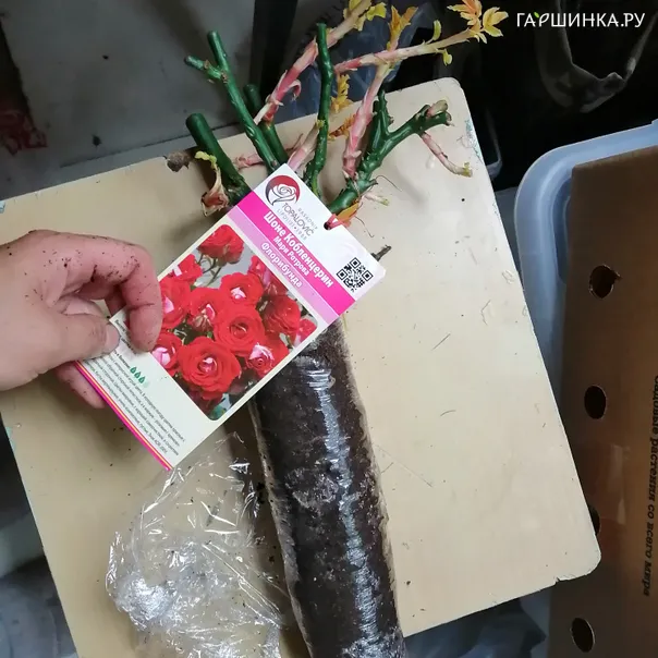 превью изображения отзыва
