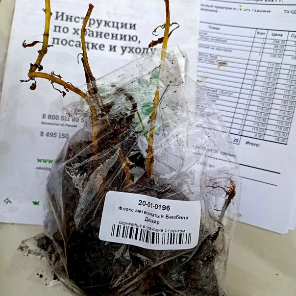 превью изображения отзыва