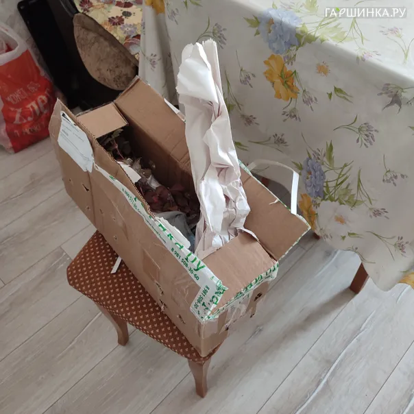 превью изображения отзыва